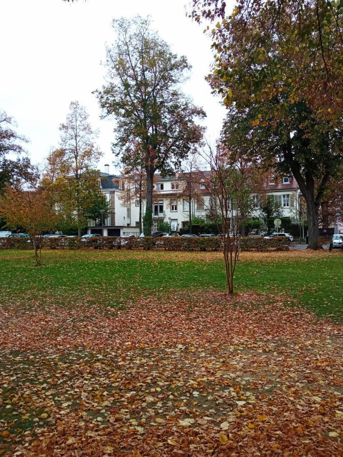 Rare A Colmar - Appartement Champ De Mars Vue Sur Parc - 70M2 - 2 Chambres Buitenkant foto