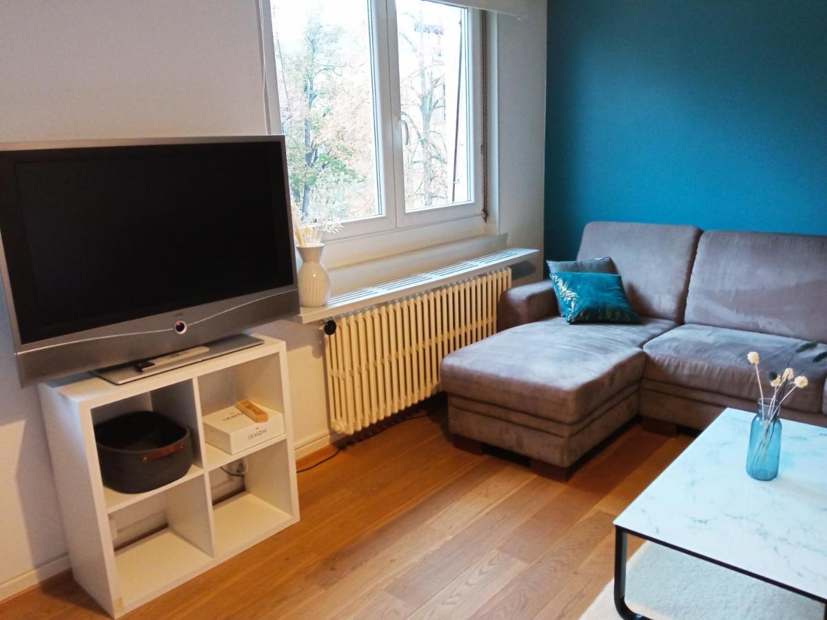 Rare A Colmar - Appartement Champ De Mars Vue Sur Parc - 70M2 - 2 Chambres Buitenkant foto